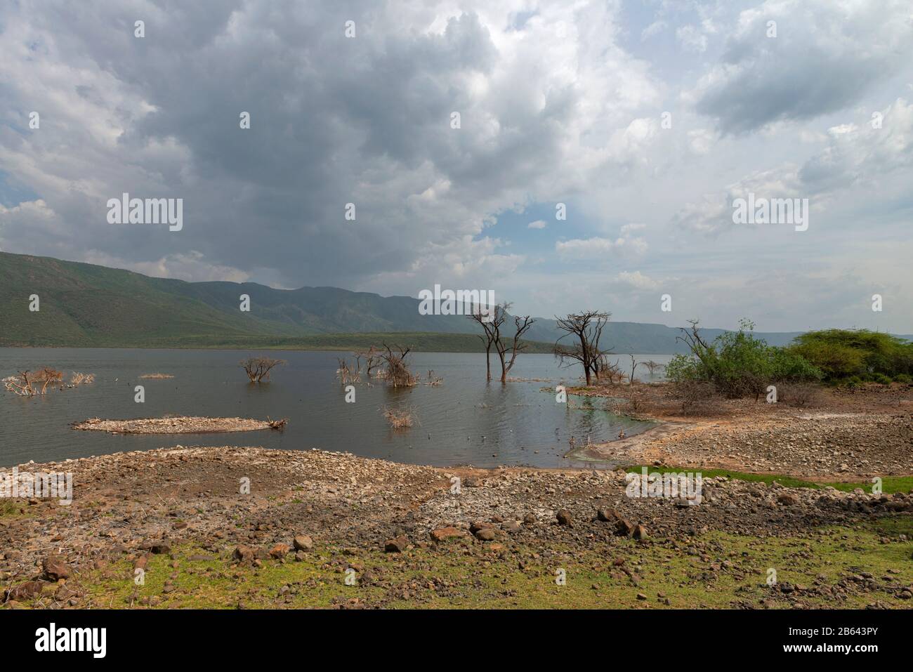 Der Bogoria-See ist ein salzhaliner, alkalischer See in Afrika Stockfoto
