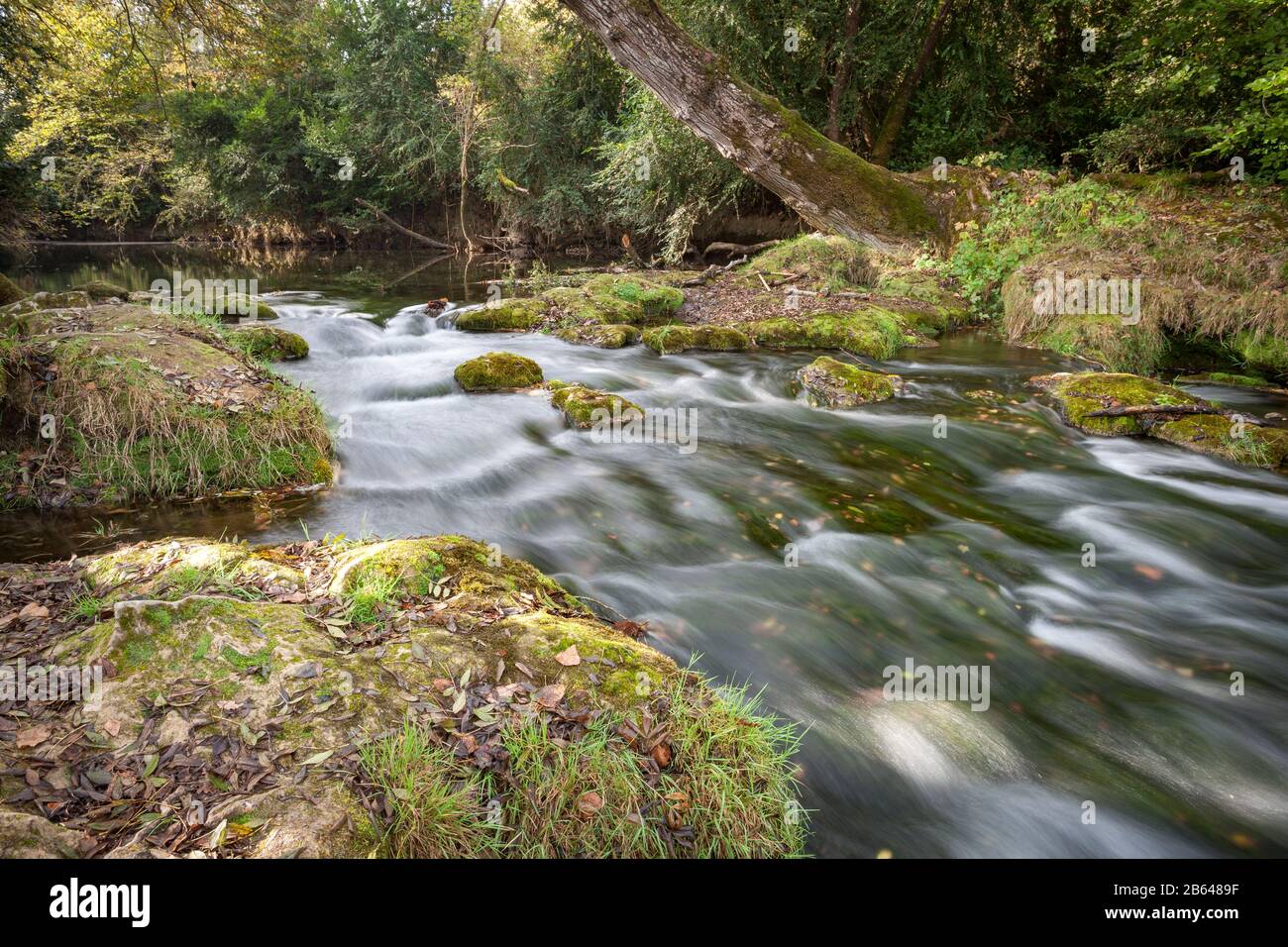 Schnell fließendes Wasser des Le Ceou Flusses Dordogne Frankreich Stockfoto