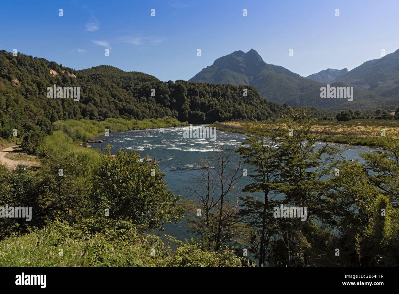 Landschaft am Biofluss Loncopangue, Chile Stockfoto