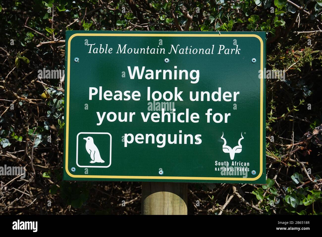 Warnschild, Boulders Beach, Kapstadt, Südafrika Stockfoto