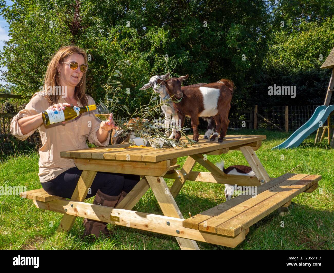 Eine Frau in ihrem Haus auf dem Land, wo sie mit ihrer Familie und Pygmäen-Ziegen lebt. Stockfoto