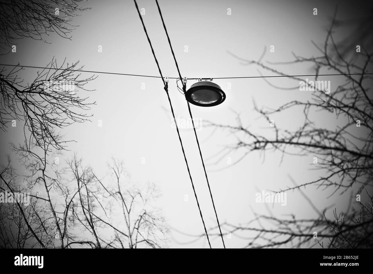 Ein Schwarz-Weiß-Bild einer Straßenlampe, die an Drähten in der Nähe der Baumoberseiten und ihrer dünnen Äste hängt. Draußen ist es Dämmerung und Melancholie. Stockfoto