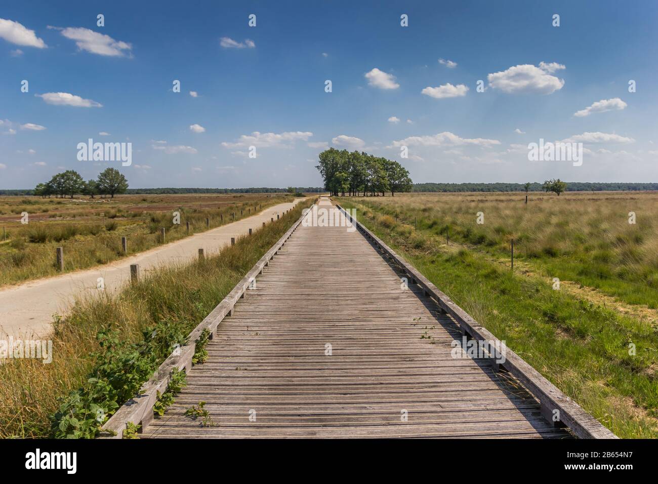 Fahrradbrücke aus Holz im Nationalpark Dwingelderveld, Niederlande Stockfoto