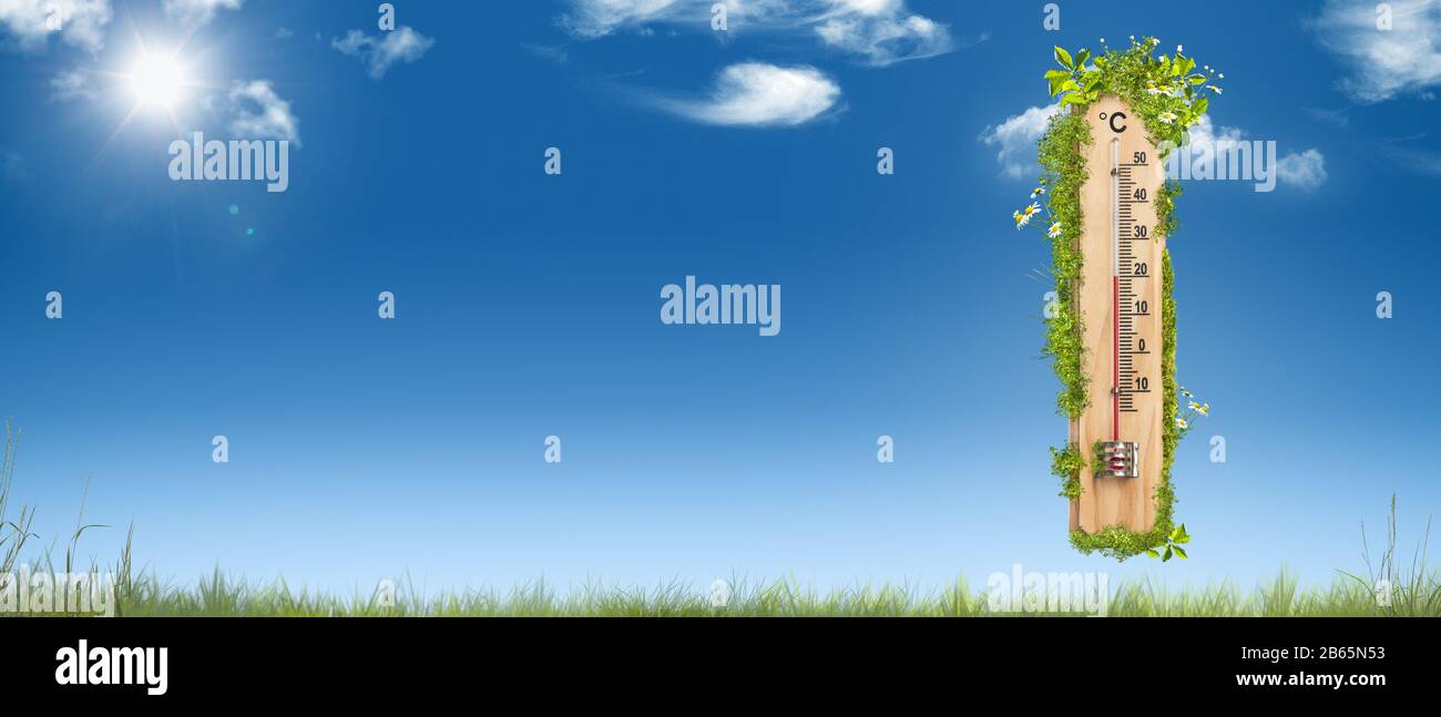 Frühlings-Zeit - Thermometer überwachsen mit Blättern und Blumen Stockfoto