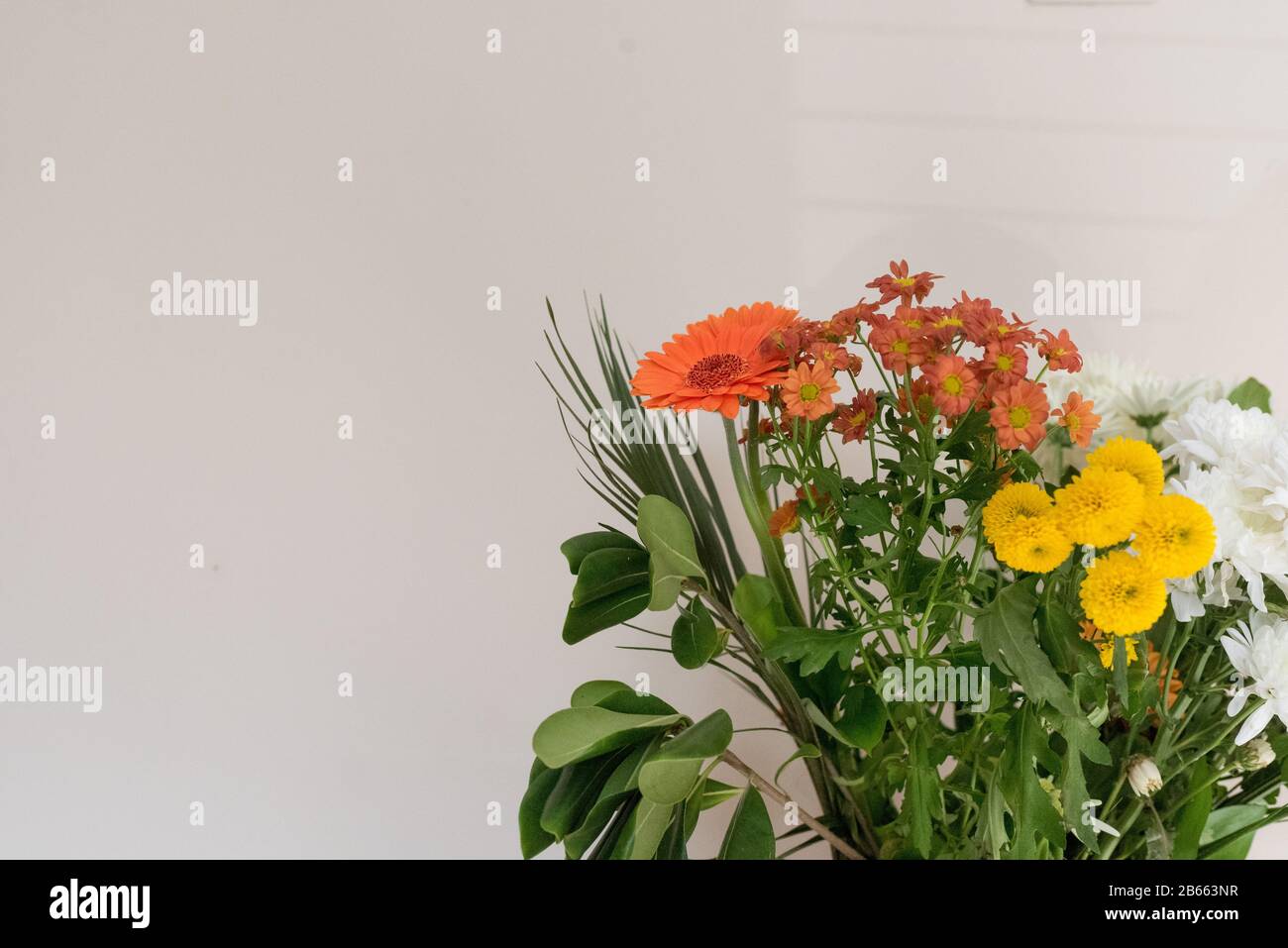 Ein paar Blumenagenten, ein einfaches Mauergeschenk zum Muttertag Stockfoto