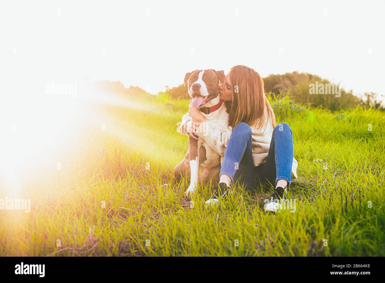 Selige junge Frau küsst Hund auf dem Feld. American Staffordshire Terrier Stockfoto