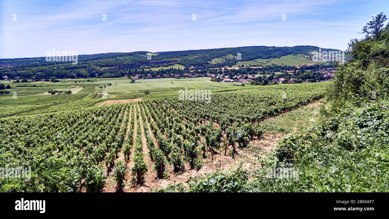 Europa, Frankreich, Bourgogne-Franche-Comté, Departement, Vallée des Vaux (Tal des Vaux) ist eine Mulde hinter dem Hügel Givry, die von einem kleinen Fluss der Orbise geprägt ist. Diese Kleinstregion besteht aus fünf Dörfern an der Küste von Chalonnaise, ich nannte Barizey, Saint-Mard-de-Vaux, Saint-Martin-sous-Montaigu, Saint-Jean-de-Vaux-Vaux-Vaux-Vaux. Stockfoto
