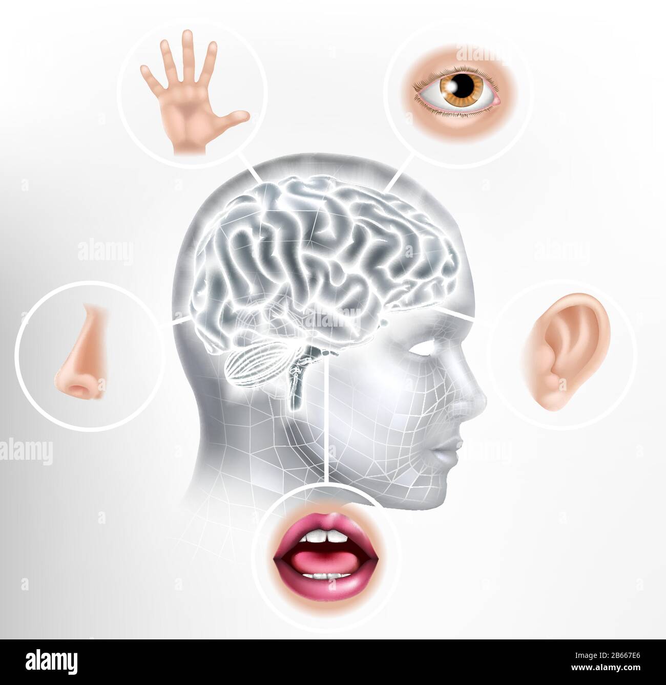 Five Senses Human Brain Head Face AI-Konzept Stock Vektor