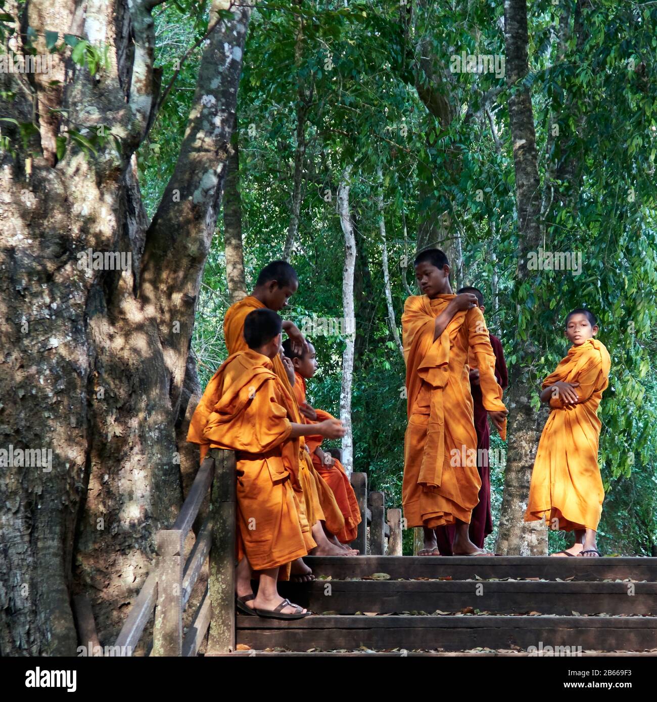 Mönch im Ta Prohm ist der moderne Name dessen, was ursprünglich Rajavihar hieß. Ta Prohm, erbaut im Bayon-Stil im späten 12. Jahrhundert, wurde als buddhistisches Kloster und Universität gegründet. Im Gegensatz zu den meisten renovierten Angkor Tempeln ist Ta Prohm in fast demselben Zustand geblieben, in dem er gefunden wurde - die Wurzeln und Bäume sind so zu einem Teil der Strukturen geworden, dass, wenn sie entfernt werden, die Strukturen ihre Integrität verlieren würden. Stockfoto