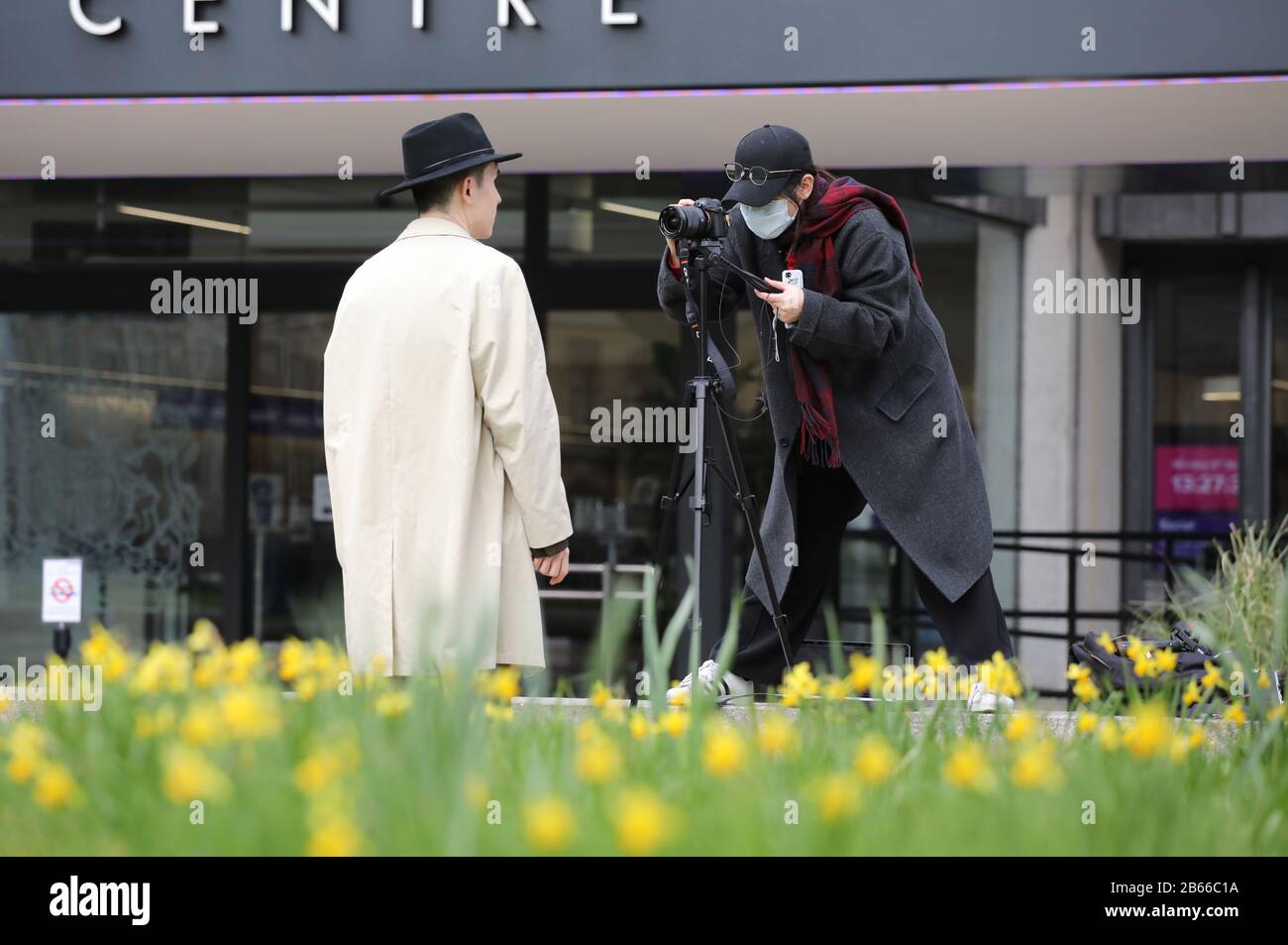 Ein Journalist, der eine Gesichtsmaske trägt, möglicherweise im Licht des Coronavirus, arbeitet auf ihrem Laptop hinter Narzissen. Der Commonwealth Service in der Westminster Abbey heute, an dem Königin Elizabeth II., Prinz Karl Der Prinz von Wales, Camilla Die Herzogin von Cornwall, Prinz Wilhelm Der Herzog von Cambridge, Katharina Die Herzogin von Cambridge, Prinz Harry Der Herzog von Sussex, Meghan Markle Die Herzogin von Sussex, Prinz Edward Der Earl of Wessex, Sophie Die Gräfin von Wessex, zusammen mit Regierungschefs und Vertretern der Länder des Commonwealth. Commonwealth Service, Westminster Abbe Stockfoto