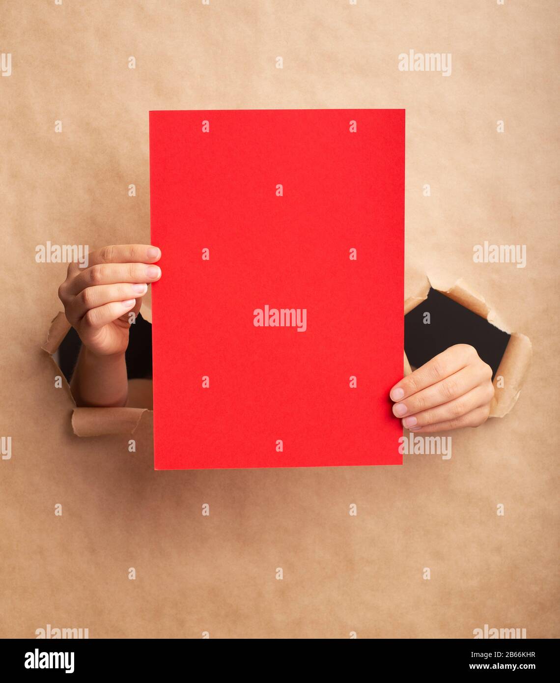 Unerkennbare Dame, die rotes Blatt mit leerem Raum durch zerrissenes Handwerkspapier hält Stockfoto