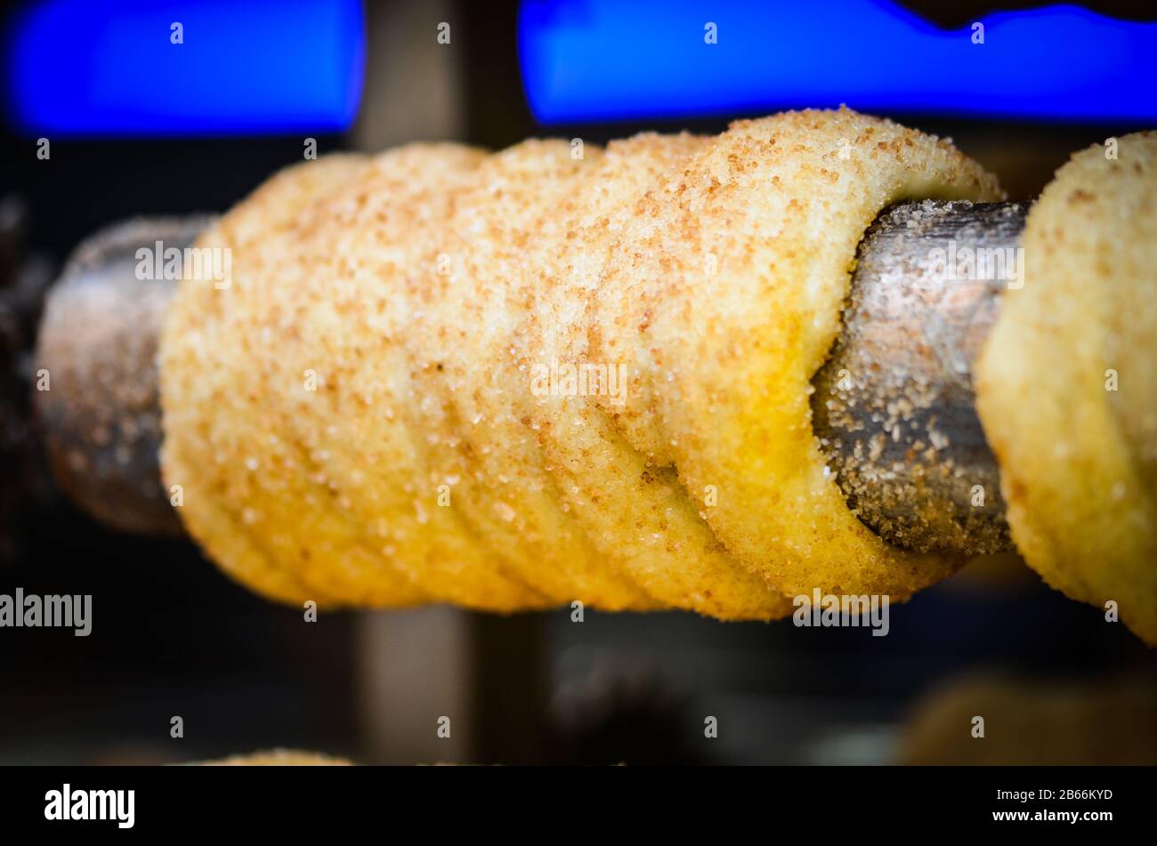 Traditionelle tschechische Köstlichkeiten auf dem lokalen Markt Stockfoto