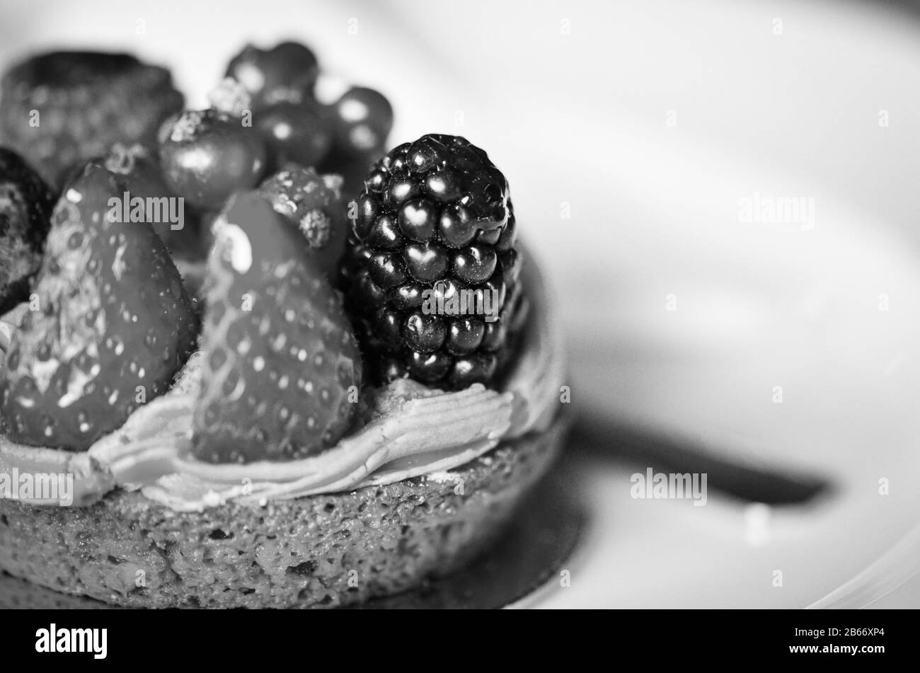 Köstliche frische Obsttarte mit Vanille & Pistazien-Creme Stockfoto
