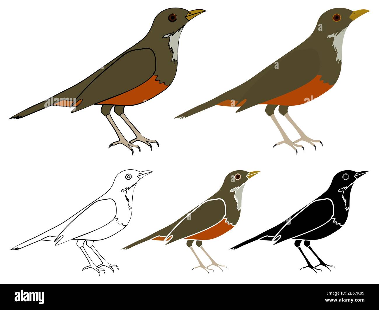 Sabia laranjeira Vogel in der Profilansicht Stock Vektor