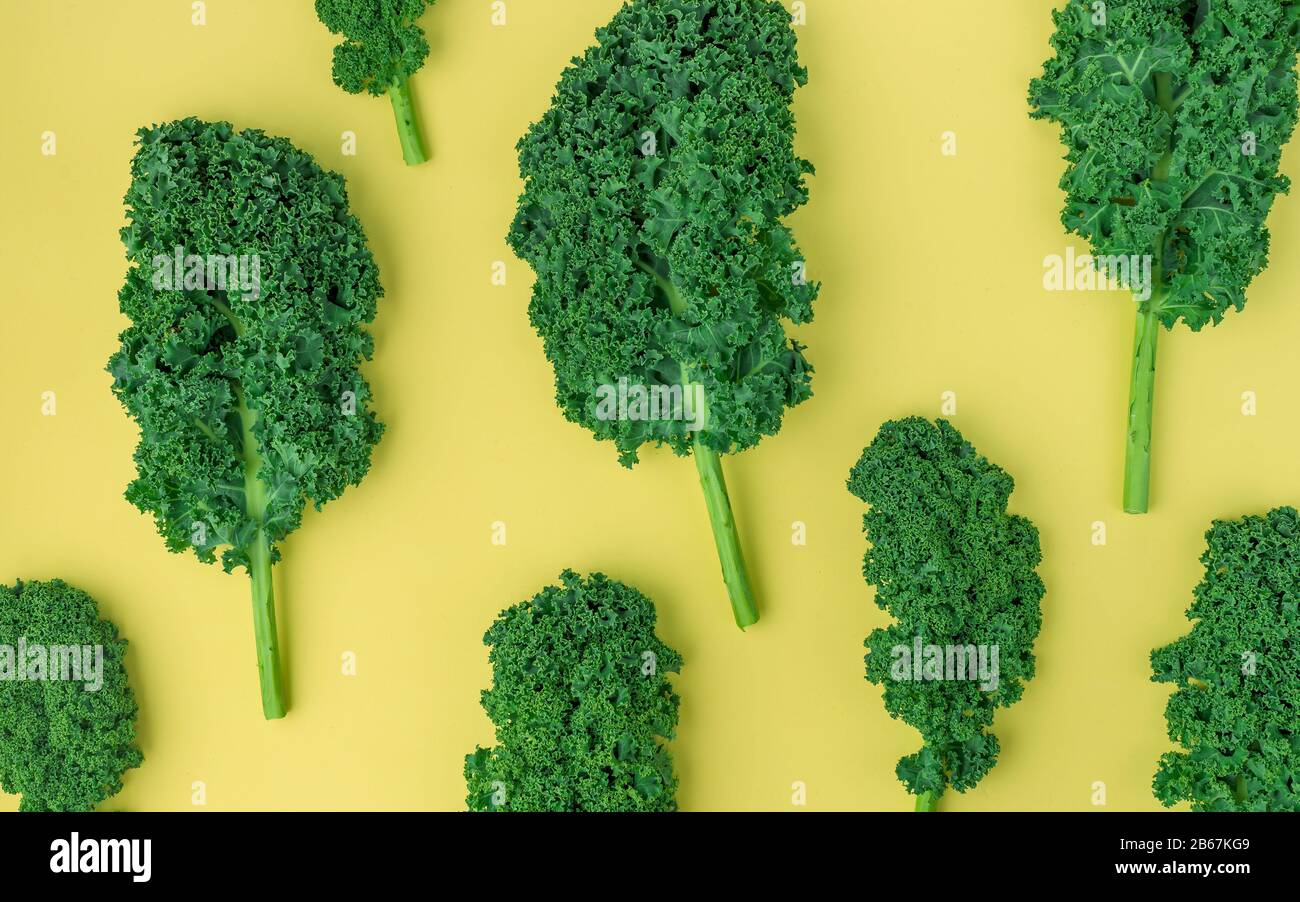 Kale-Lamellenmuster auf gelbem Hintergrund Stockfoto