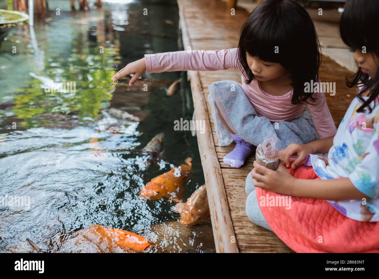 Fütterung Der Familie Stockfotos und bilder Kaufen Alamy