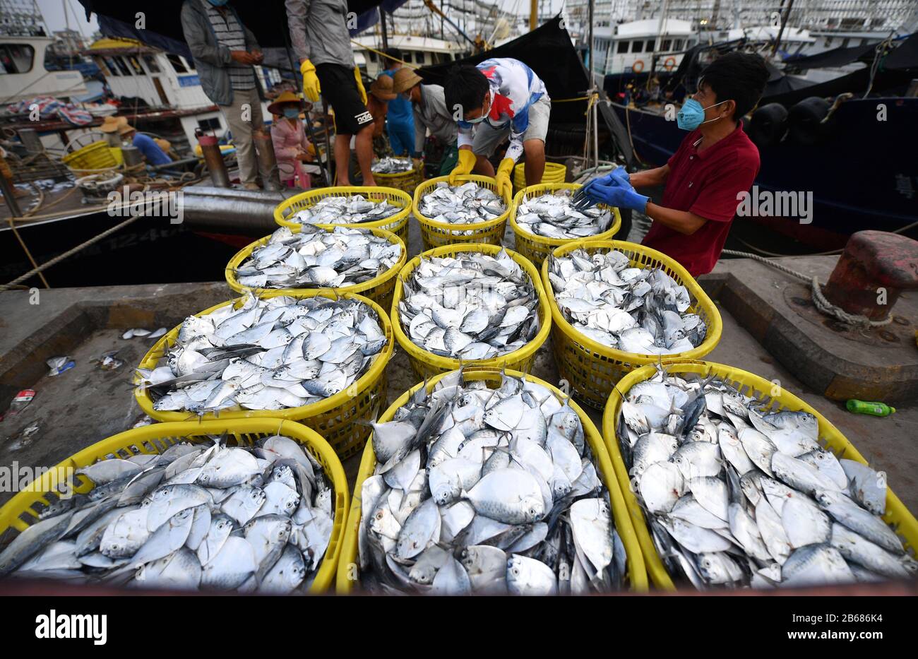 Sanya, Chinas Provinz Hainan. März 2020. Die Arbeiter laden Fisch im zentralen Fischereihafen Yazhou in Sanya, Südchinas Provinz Hainan, am 10. März 2020. Mehr als 400 Fischerboote im Hafen haben begonnen zu arbeiten, als die Fischereiindustrie der Provinz den Betrieb wieder aufgenommen hat. Credit: Guo Cheng/Xinhua/Alamy Live News Stockfoto