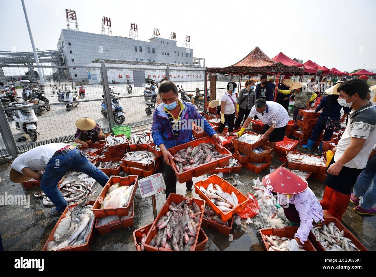 Sanya, Chinas Provinz Hainan. März 2020. Die Menschen handeln auf einem Fischmarkt des zentralen Fischereihafens Yazhou in Sanya, Südchinas Provinz Hainan, am 10. März 2020. Mehr als 400 Fischerboote im Hafen haben begonnen zu arbeiten, als die Fischereiindustrie der Provinz den Betrieb wieder aufgenommen hat. Credit: Guo Cheng/Xinhua/Alamy Live News Stockfoto