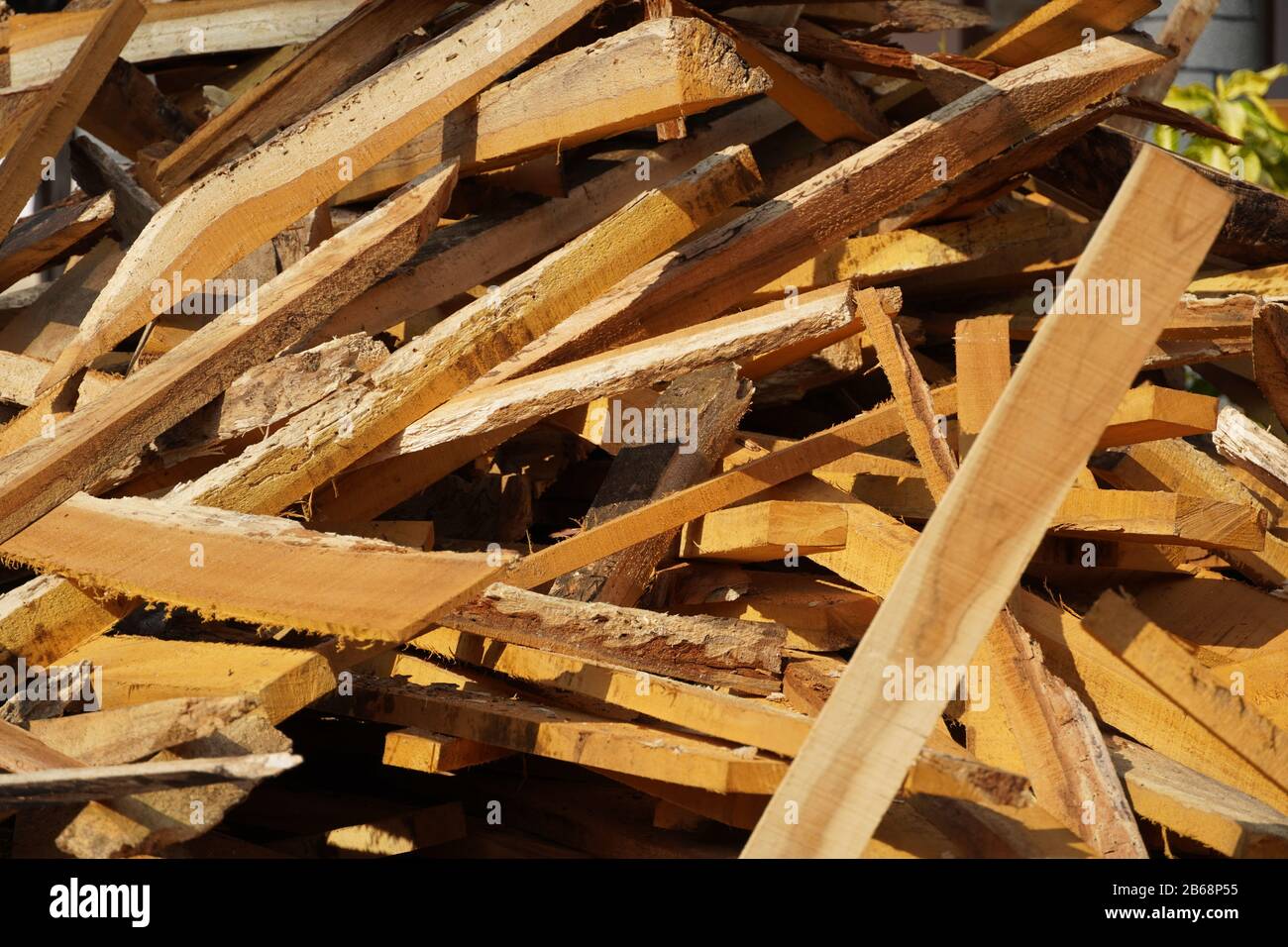 Zerbrochene lange Stücke von Baumstamm. Zerbrochene Holzstücke schließen. Holzspan aus Kiefernholz. Zerbrochen in Stücke und Splitter massiver Baumstamm, Nahaufnahme f. Stockfoto