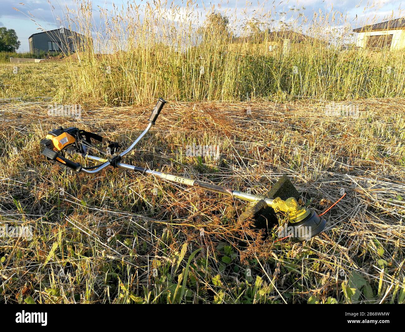 Benziner Rasentrimmer professionelles Gartenwerkzeug auf Maserrasen Stockfoto