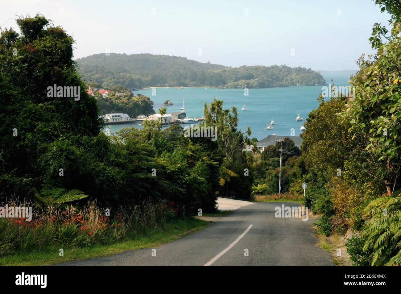 Blick hinunter in Richtung Oban Township und Half Moon Bay auf Stewart Island im äußersten Süden von Neuseeland Südinsel. Stockfoto