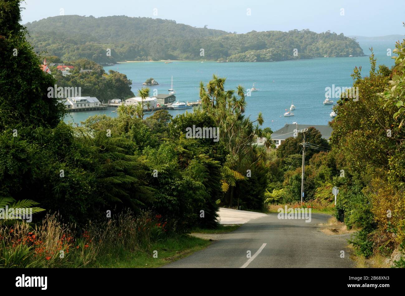 Blick hinunter in Richtung Oban Township und Half Moon Bay auf Stewart Island im äußersten Süden von Neuseeland Südinsel. Stockfoto