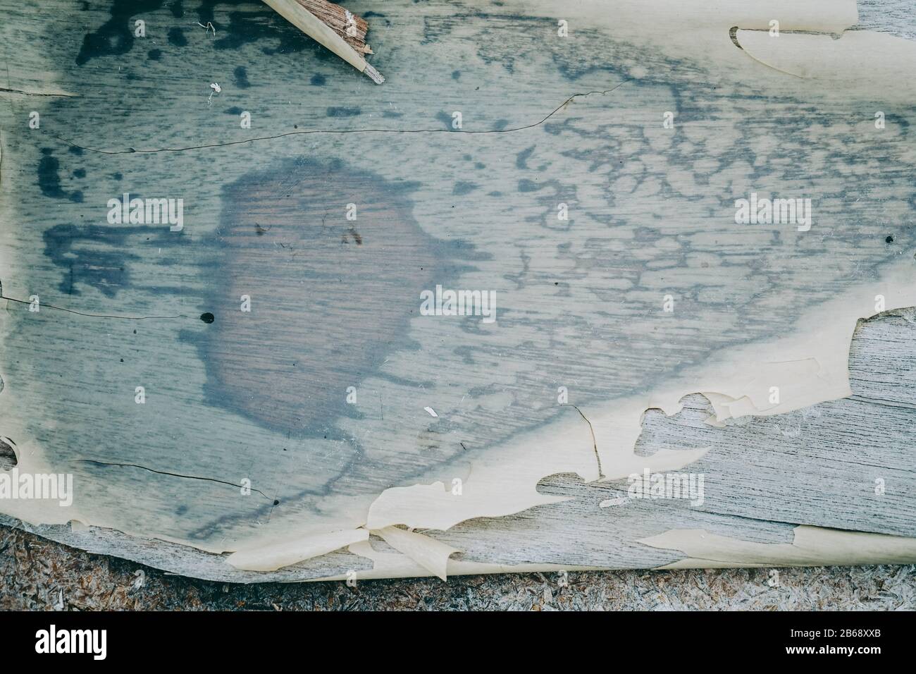 Gerissener und alter Lack über Holz Stockfoto