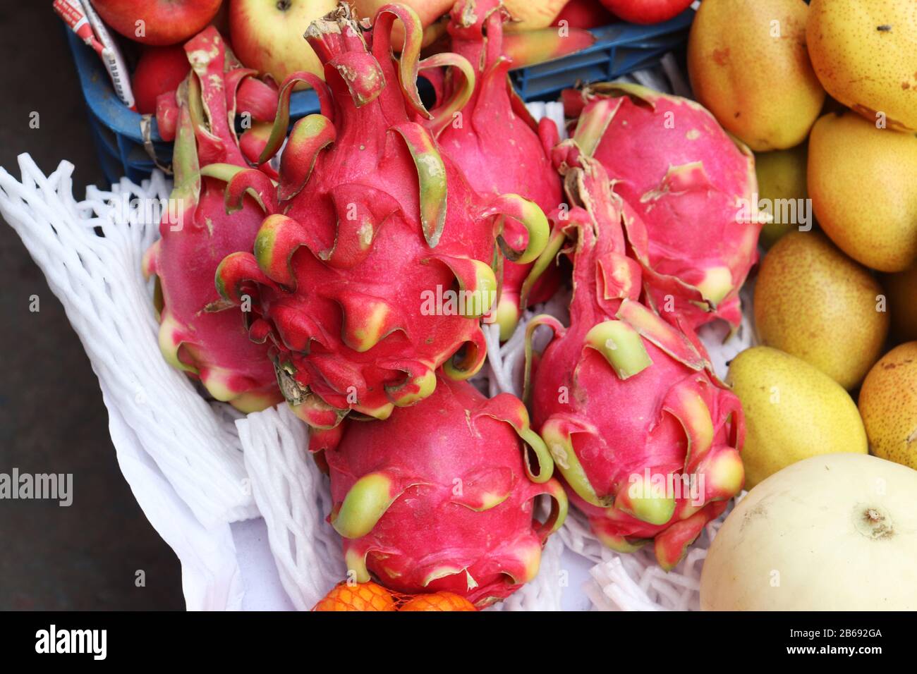 Drachenfrucht. Viele Drachenfrüchte im Laden Stockfoto