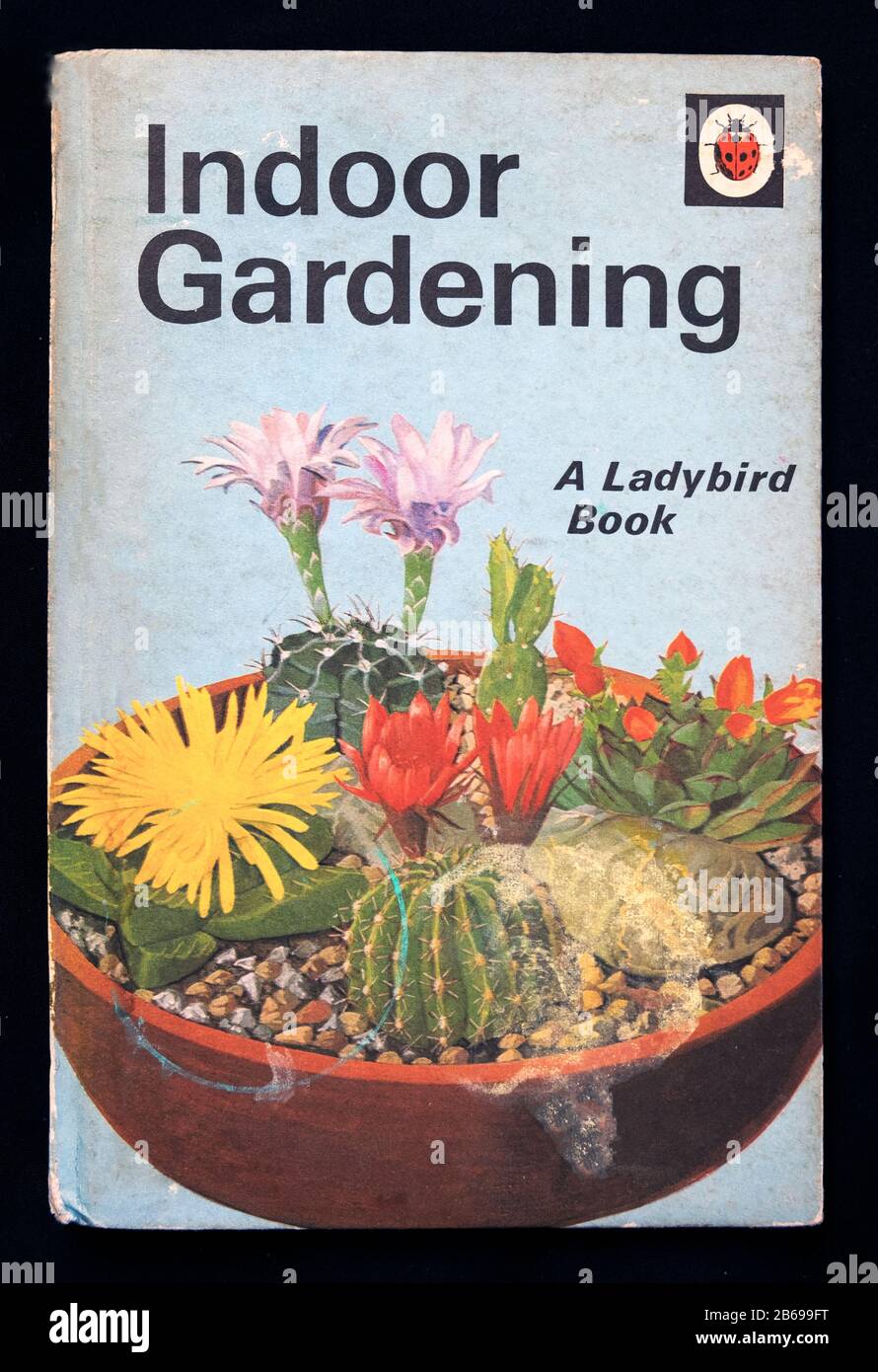 "Indoor-Gardening"-Frontabdeckung des Kinder-Ladybird-Buches mit einem Terrakotta-Topf mit Kakteen-Kakteen im blütenblühenden England Großbritannien. KATHY DEWITT Stockfoto