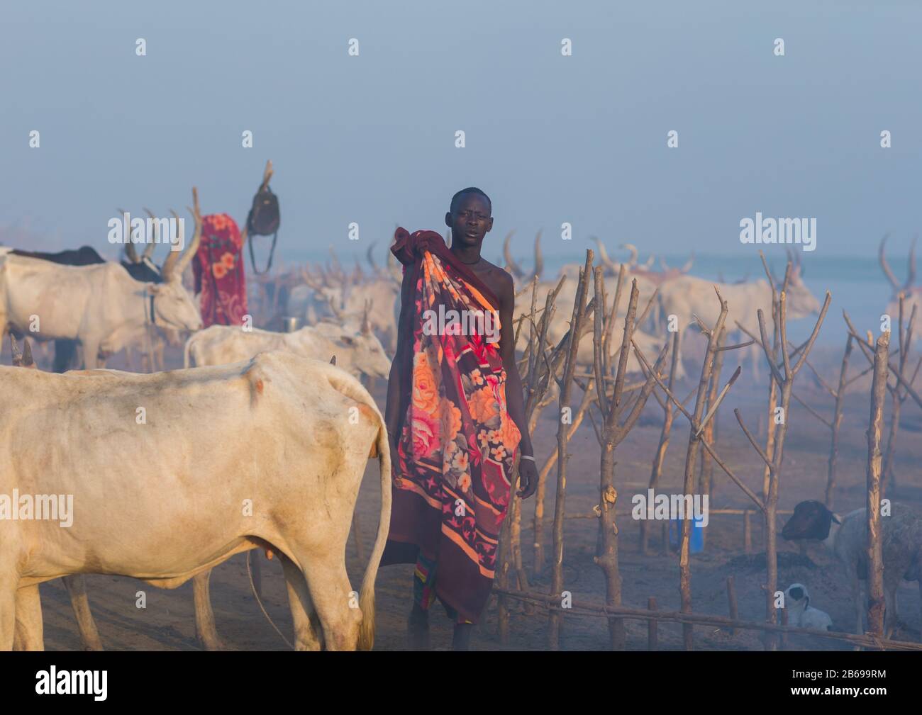 Mundari Stammmann in einem Viehlager, Central Equatoria, Terekeka, Südsudan Stockfoto