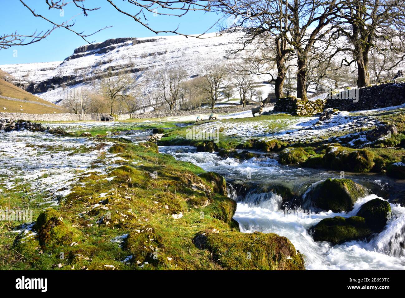 Gordale Beck, der aus Gordale Scar fließt, mit Schafweiden an den Ufern und Schnee auf den Hügeln. Stockfoto