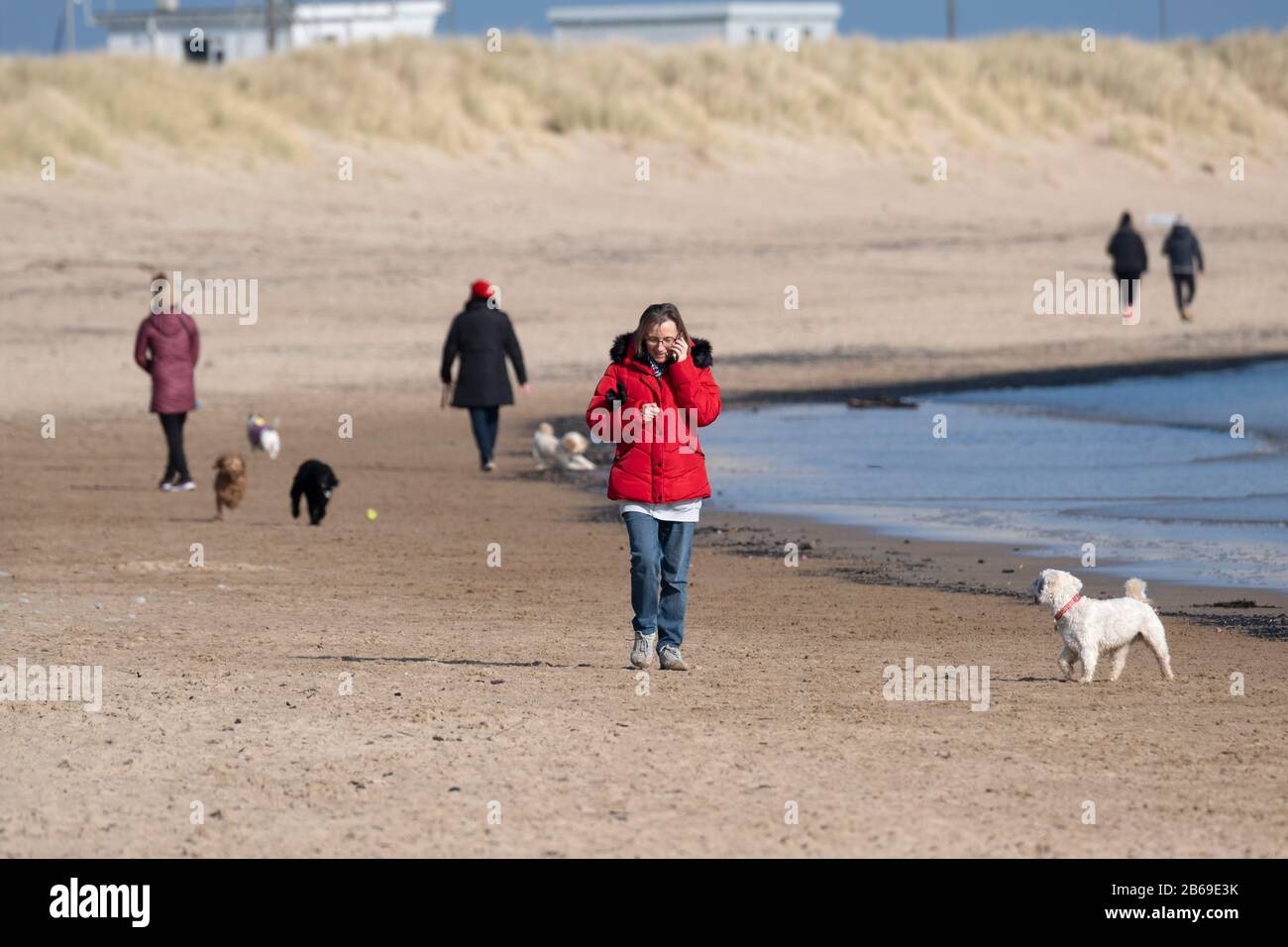 Frau im roten Mantel, die auf dem Handy spricht, während sie ihren Hund unter anderen Hundegängern am Blyth Beach, Northumberland, spaziert Stockfoto