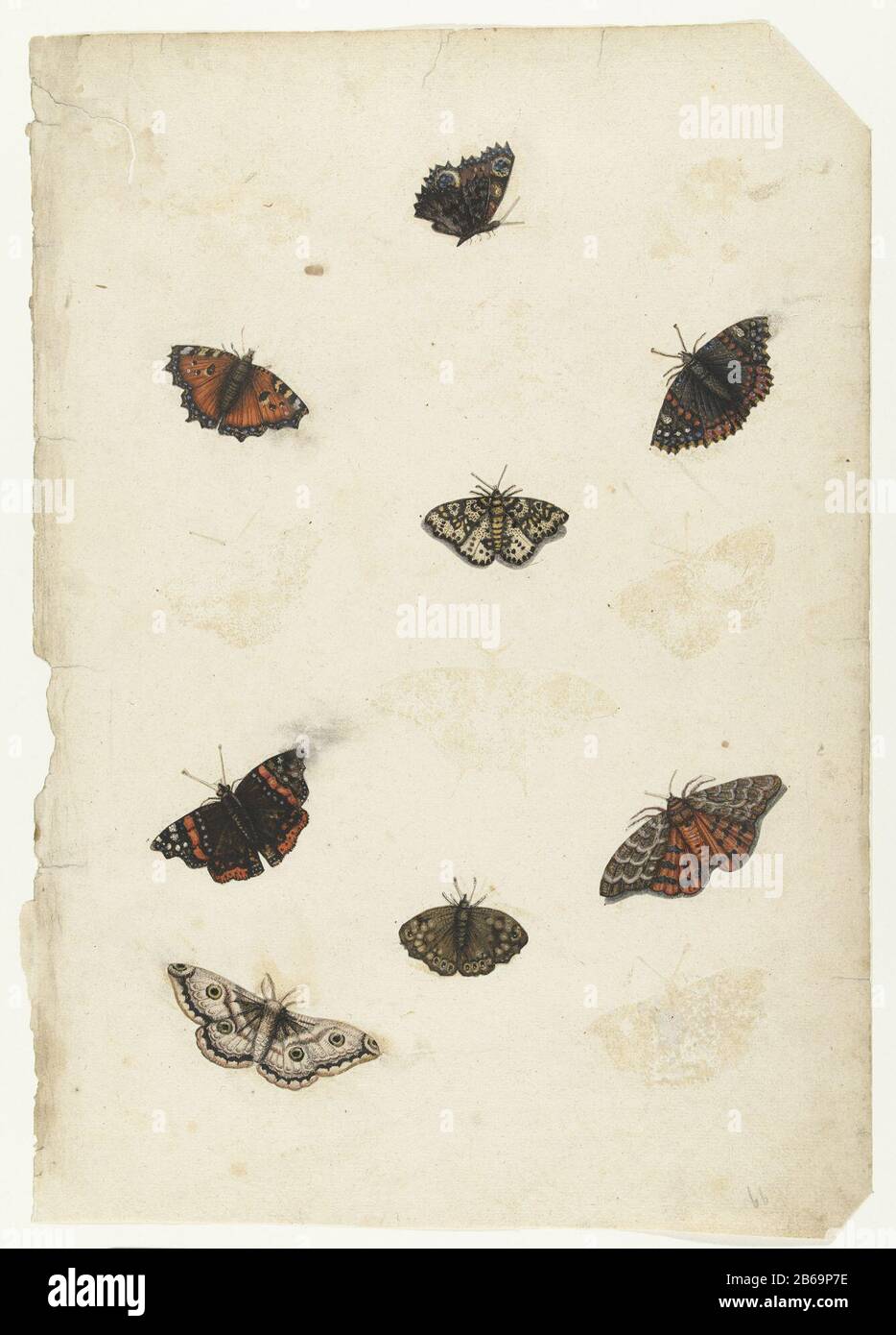 Acht Schmetterlinge lombardische Alben (Serientitel) Schmetterlinge (Vanessa urticae) . Hersteller: Künstler: Anonymer Ort Herstellung: Niederlande Datum: 1560 - 1585 Physikalische Merkmale: Pinselfarbenmaterial: Papiertechnik: Bürstengröße: H 40/45 mm (separat) b x 50/80 mm (separat) × h 450 mm (Satz) b × 315 mm (Satz) Notizenseite aus Album 100 Blatt mit Zeichnungen von dieren. Stockfoto