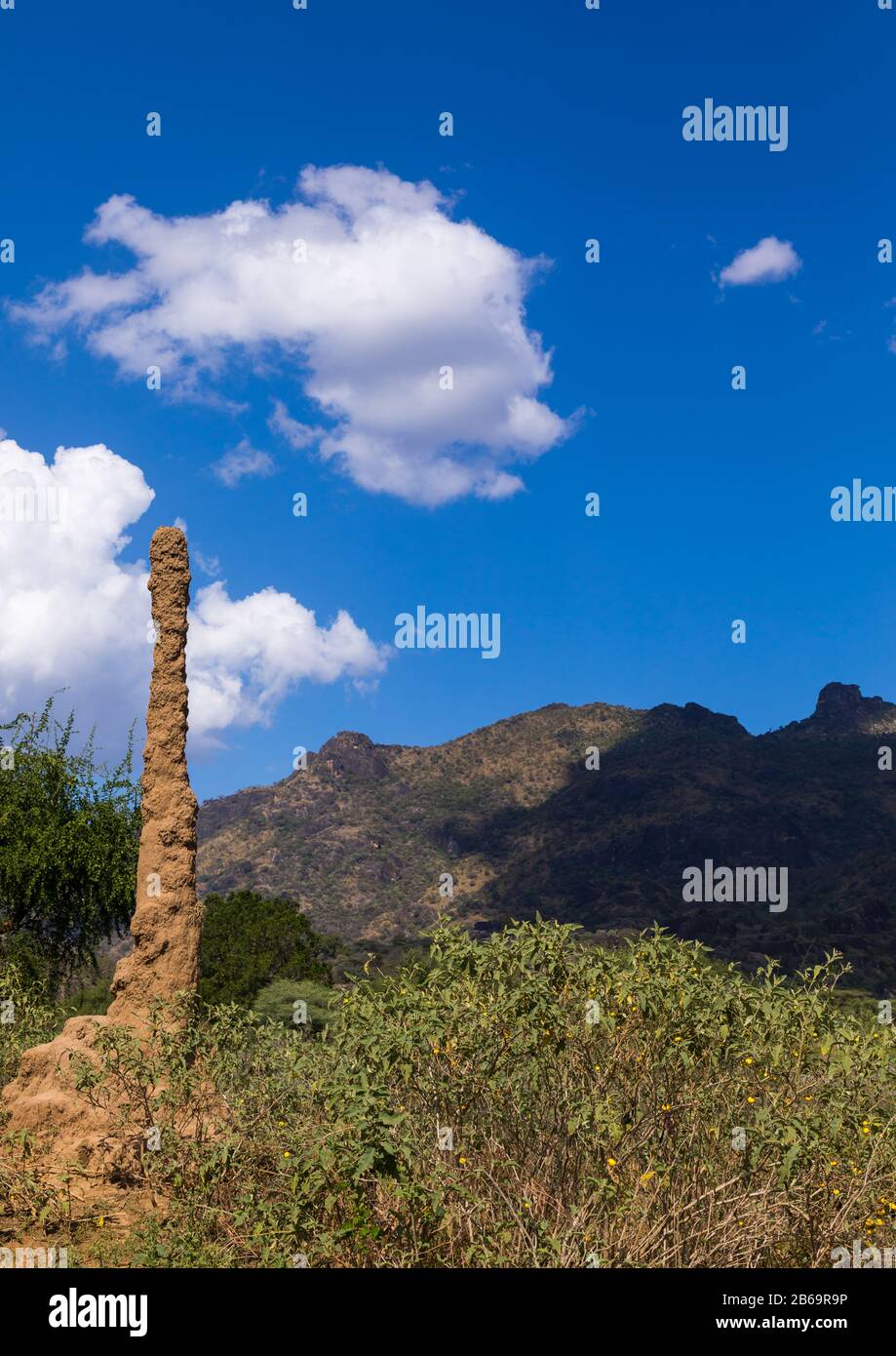 Termitenhügel gegen einen Berg, Boya-Berge, Imatong, Südsudan Stockfoto