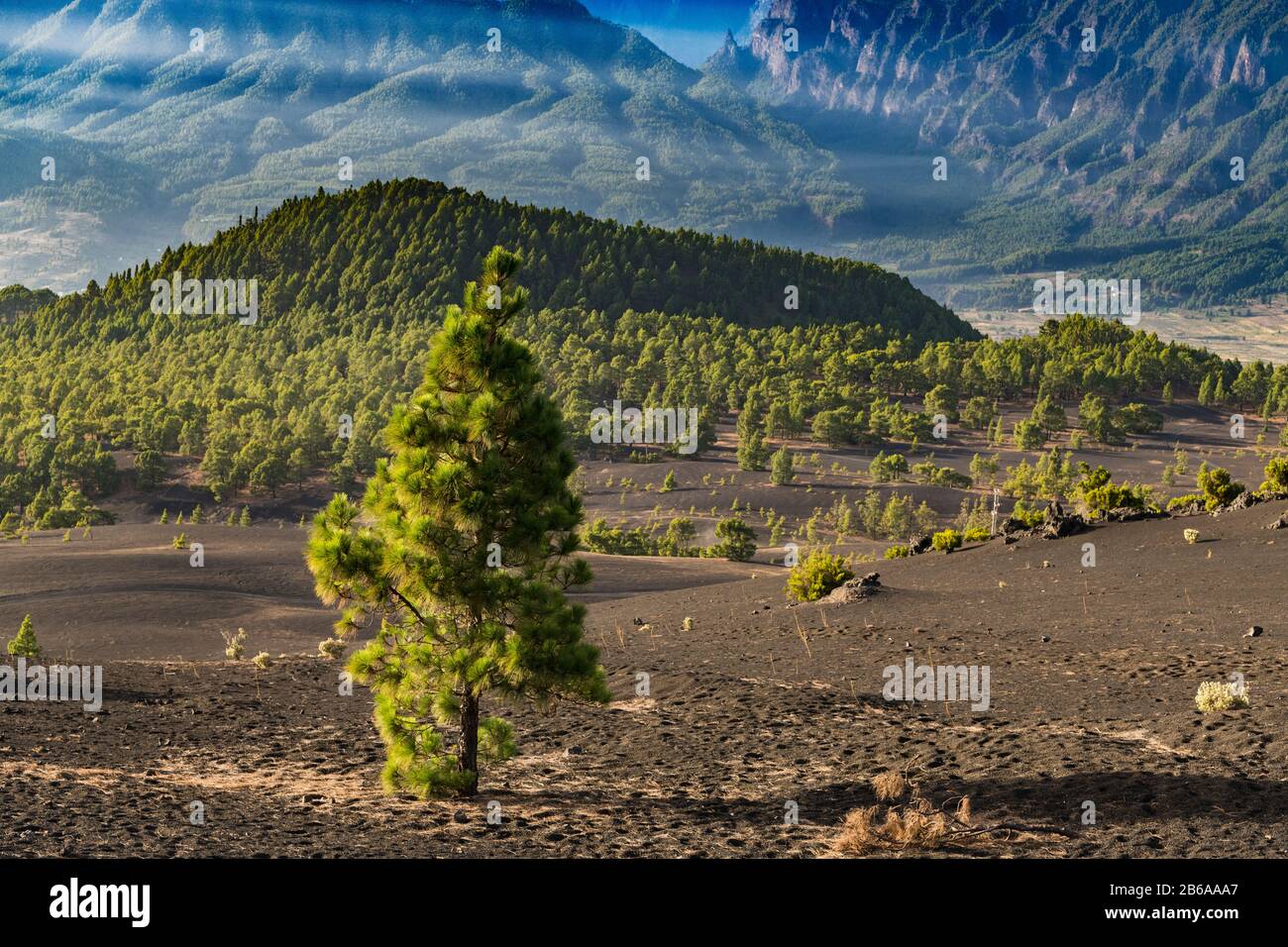 Blick nach Norden von Llano del Jable über junge vulkanische Landschaft bedeckt von Skorien von explosiven Vulkanausbrüchen, La Palma, Kanarische Inseln Stockfoto