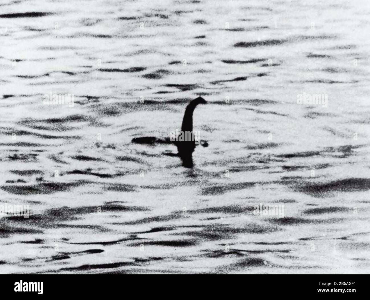 Loch NESS MONSTER Das sogenannte 'Surgeon's Photograph', das der Gynäkologe Robert Wilson (eigentlich aus einem Spielzeug-U-Boot hergestellt) erstmals 1934 in der Daily Mail veröffentlichte Stockfoto