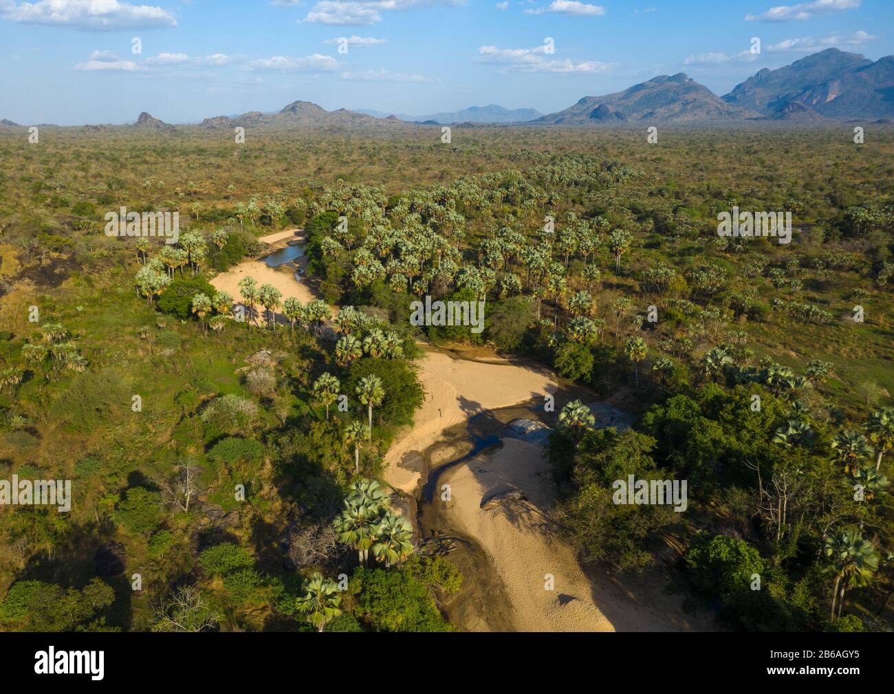 Trockener Fluss in einer Oase vor den Boya-Bergen, Boya-Bergen, Imatong, Südsudan Stockfoto