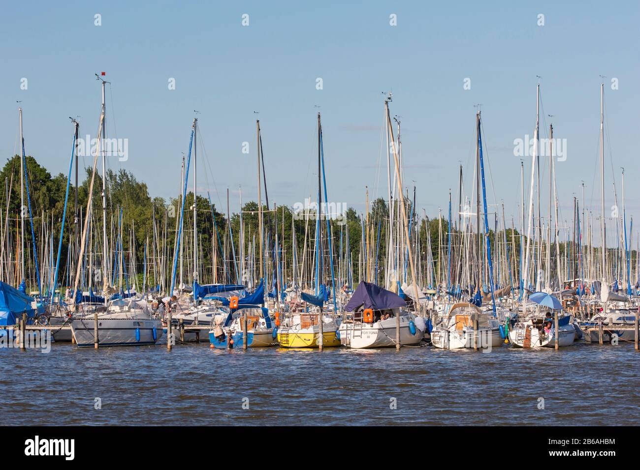 Segelboote am Steinhude-/Steinhuder Meer, Mardorf, Neustadt am Rübenberge, Niedersachsen, Deutschland Stockfoto