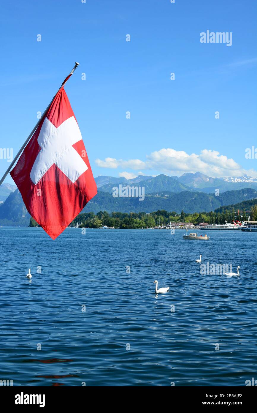 Luzerner, SCHWEIZ - 3. JULI 2014: Die Schweizer Flagge fliegt vom Sern eines Bootes auf dem Vierwaldstättersee. Schwäne und Boote auf dem See mit schneebedeckten alpen i Stockfoto