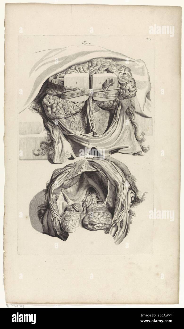 Anatomische Untersuchung der Innenseite eines Schädels Zwei Bilder der Innenseite eines Schädels . Oben rechts nummeriert T. 7. Hersteller : Druckmaschine: Pieter of Grace In Zeichnung: Gerard de Lairesse Herausgeber: Witwe Joannes van Someren Verlag: Hendrick und Dirk Tree City Herstellung: Amsterdam Datum: 1685 Physikalische Eigenschaften: Engra-Material: Papiertechnik: Engra (Druckverfahren) Messungen: Plattenkante: B 273 mm × h 442 mmToelichtingBoekillucatie für Bidloo, Godefridus. Anatomia humani corporis centum & Chinque tabulis per Art. G. de Lairesse ad vivum delineatis the monstrata, veterum recent Stockfoto