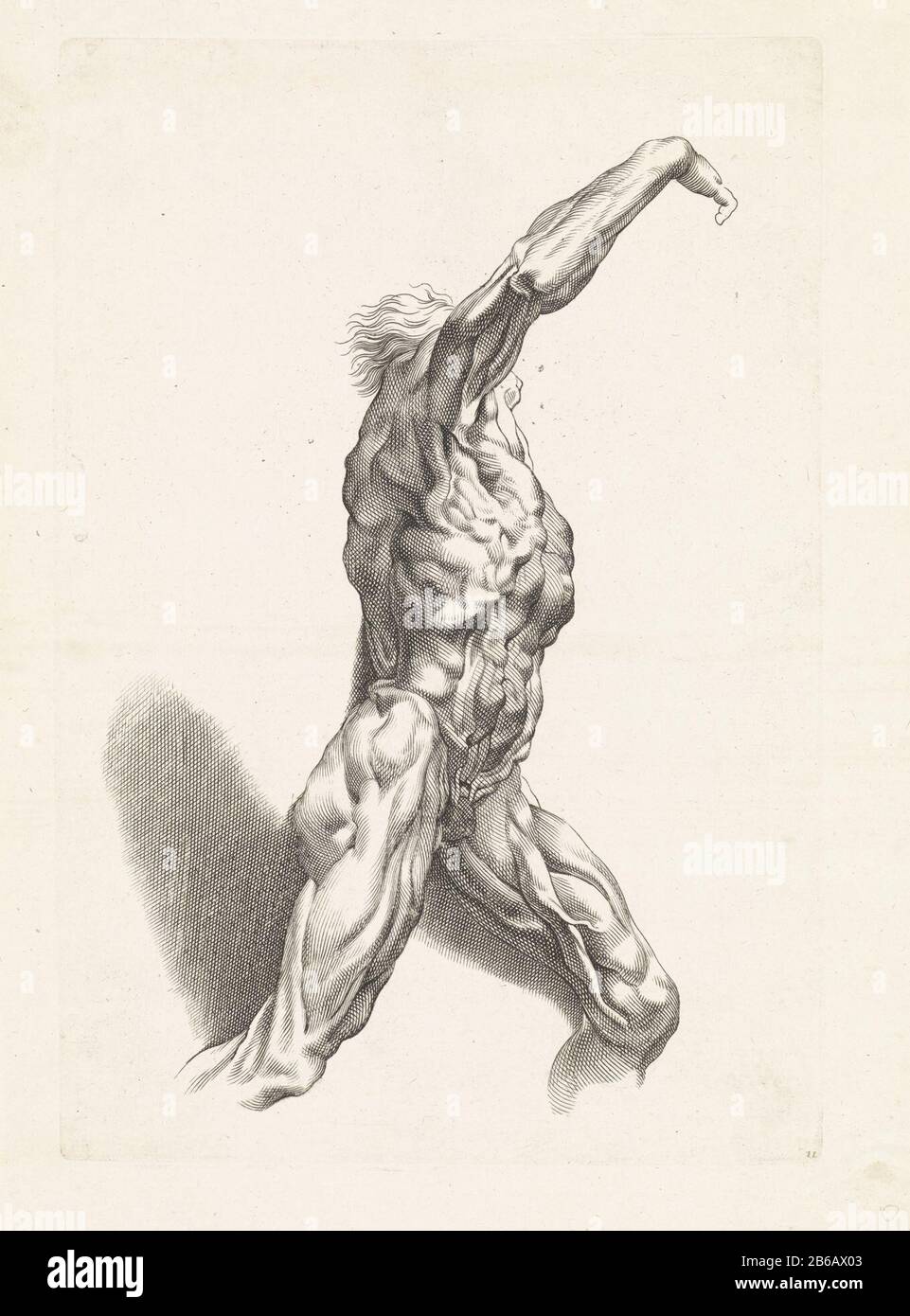 Anatomische Studie eines Mannzeichen-Buches von Peter Paul Rubens (Serientitel) anatomische Studie eines ManHet Zeichen-Buches von Peter Paul Rubens (Serientitel) Immobilientyp: Print Serial: / 20Objectnummer: RP-P-ob-33.277Catalogusreferentie: Hollstein Dutch 157-2 (2) Markierungen / Marken: Sammlermarke, darunter, gestempelt: Lugt 240numer, recto unten rechts handschriftliche Tinte in braun '11' Hersteller : Druckerhersteller Paulus Pontiusnaar Design: Peter Paul Rubens Herstellung: Antwerpen Datum: 1616 - 1657 Physische Merkmale: Fahrzeugmaterial: Papiertechnik: Engraa (Druckverfahren) Abmessungen: Plattenkante: H 3 Stockfoto