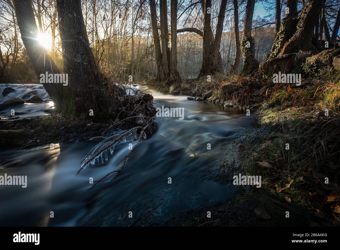 Wärme am kalten Morgen Stockfoto