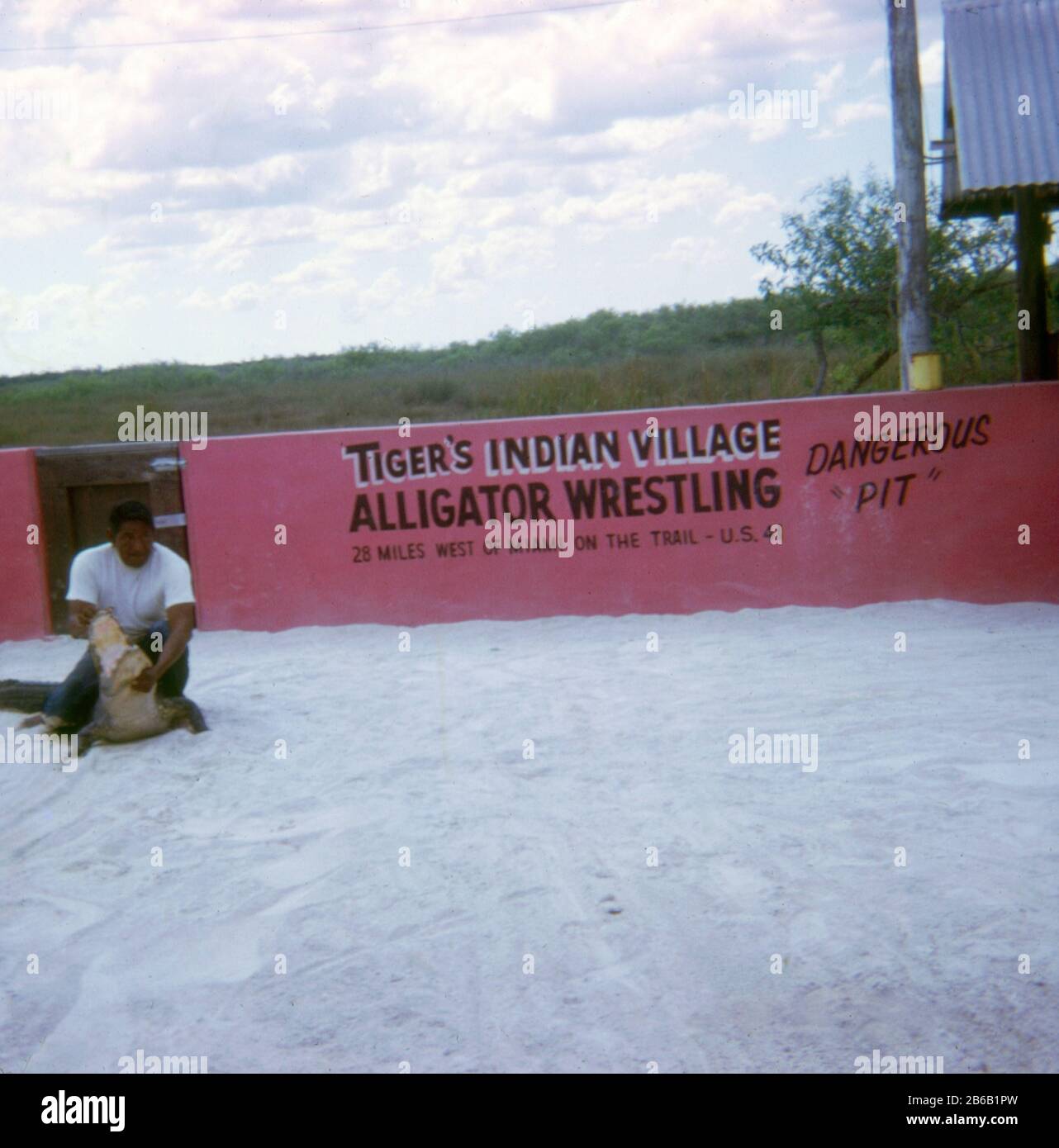 Vintage ca. 1972 Foto, Tiger's Miccosukee Indian Village Alligator Wrestling in der Nähe von Miami, Florida. QUELLE: ORIGINAL 35 MM-TRANSPARENZ Stockfoto