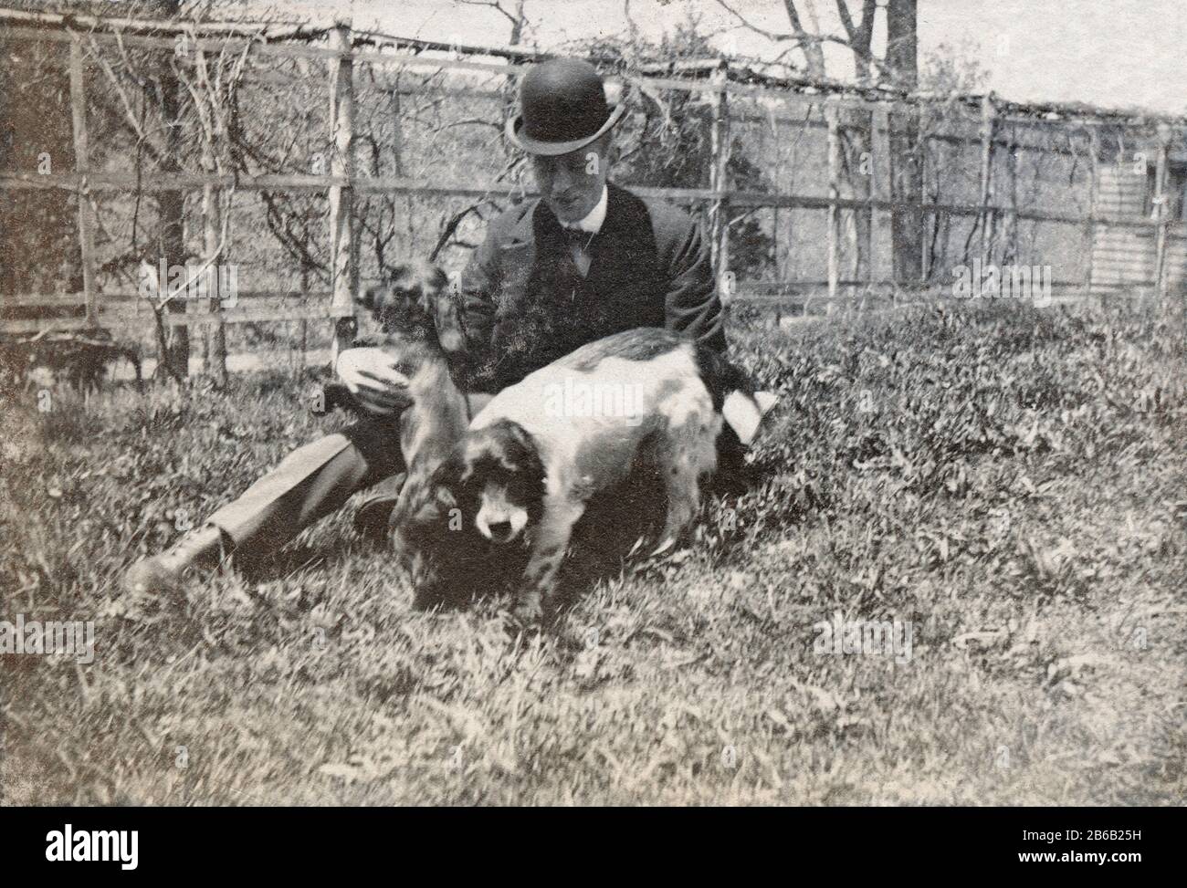 Antique Juli 1898 Foto, viktorianischer Mann mit Spaniel-Hunden im Hinterhof. Genaue Lage unbekannt, wahrscheinlich New York. QUELLE: ORIGINALFOTO Stockfoto