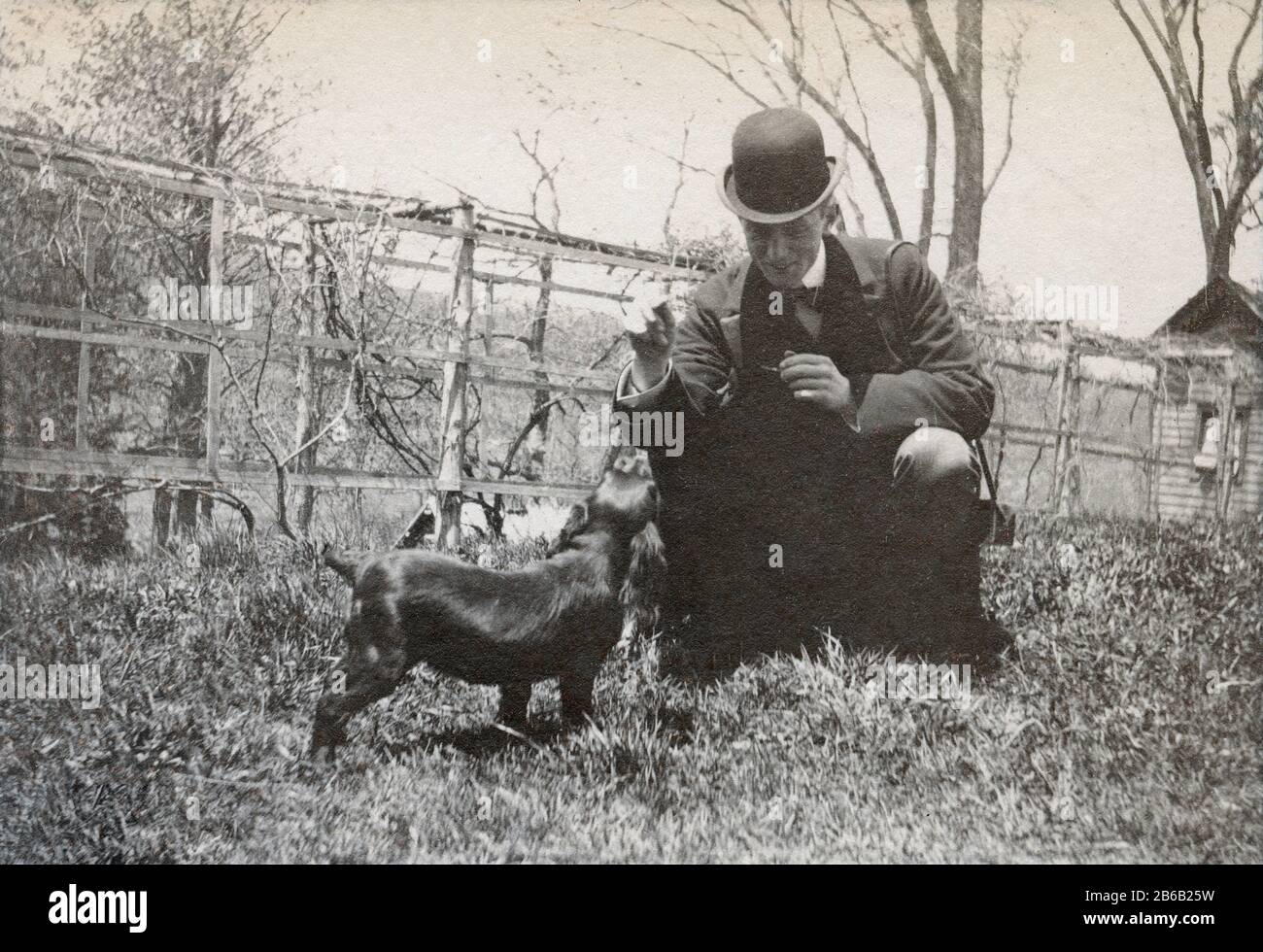 Antique Juli 1898 Foto, viktorianischer Mann mit Spaniel-Hunden im Hinterhof. Genaue Lage unbekannt, wahrscheinlich New York. QUELLE: ORIGINALFOTO Stockfoto