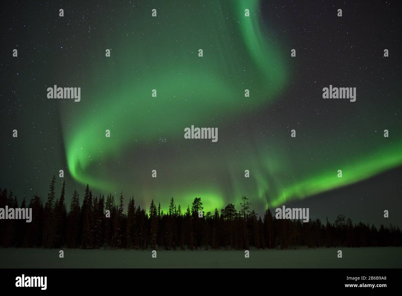 Wunderschöne grüne Nordlichter (Aurora Borealis) in Luosto, Lappland, Finnland mit klarem Himmel und Sternen. Stockfoto