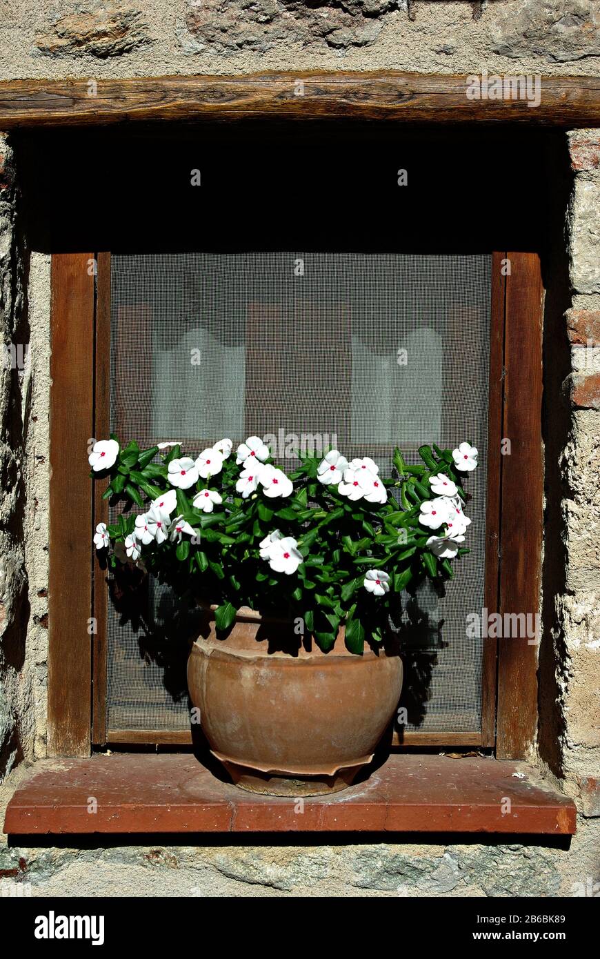 Alter Blumentopf mit Blumen in Fensterrahmen aus Steinhaus Stockfotografie  - Alamy