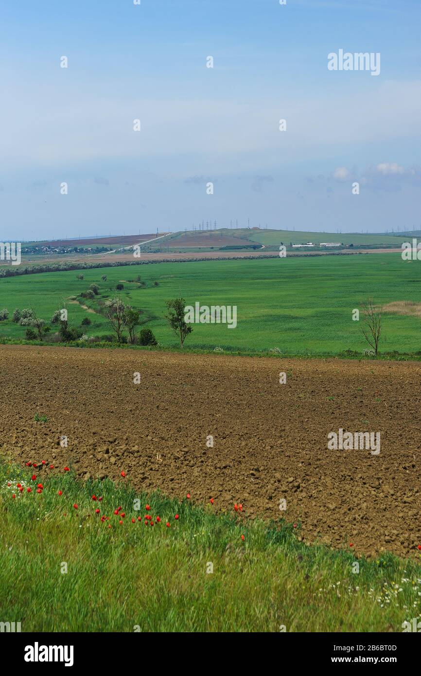 Die weiten der Taman-Halbinsel an einem sonnigen Frühlingstag. Vertikaler Rahmen Stockfoto