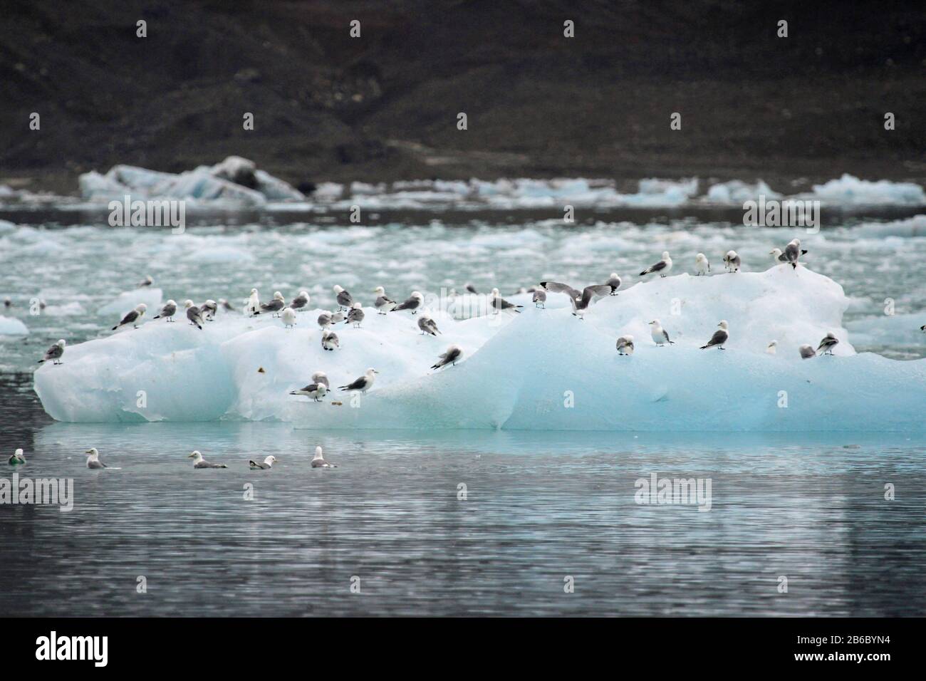 Juli Glacier, Spitzbergen, Norwegen Stockfoto