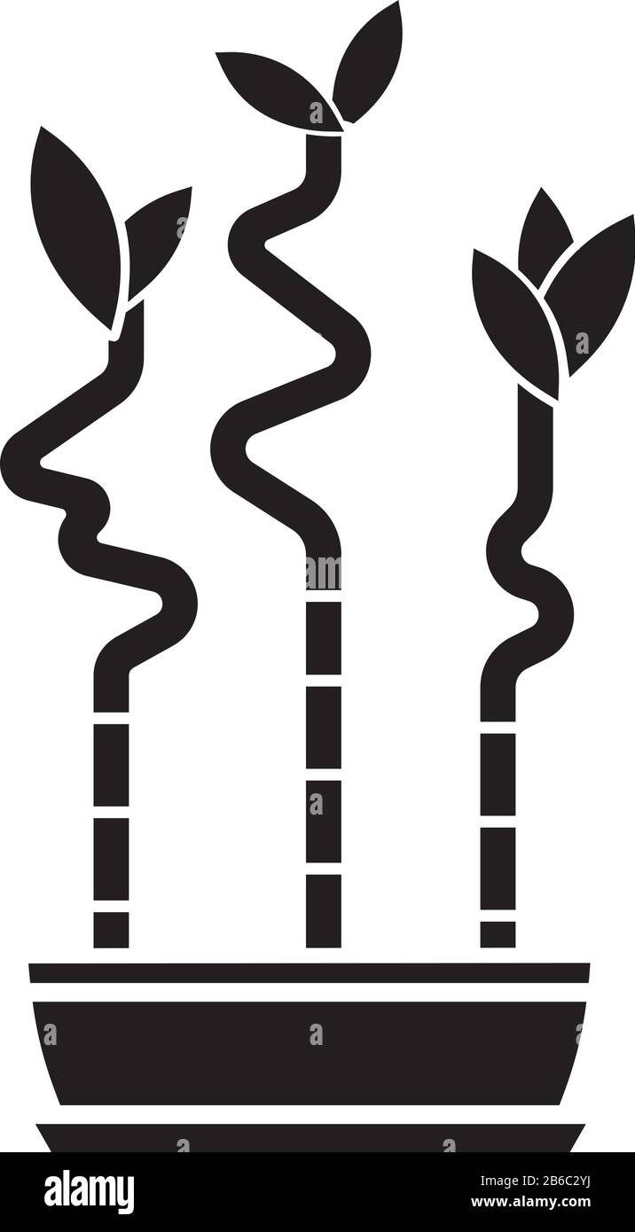 Glückliche Bambusschäfte im Topf schwarze Glyph-Ikone. Dracaena sanderyana. Exotische Pflanzen in Innenräumen. Kleiner tropischer Baum. Gute Feng Shui Hausanlage. Silhouette Stock Vektor
